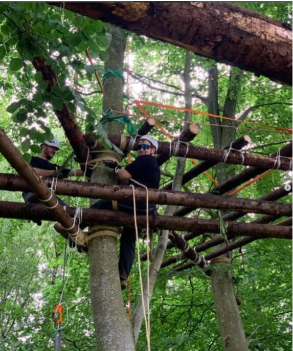 Trädkoja/Treehouse bild